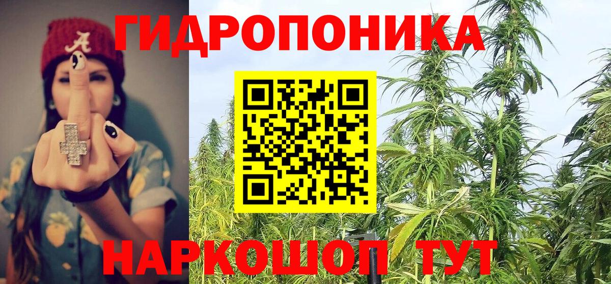 Саранск  Шишки марихуана гибрид  Вход с VPN  Конопля White Widow  Шишки марихуана THC 21% 